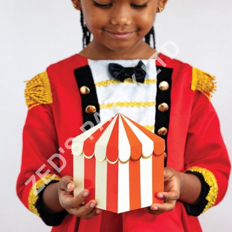 Carnival Party favours