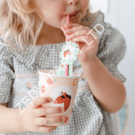 Horse Party Paper Straws x 6 - Horse Party Supplies Drinking Straws & Stirrers Horse Party Paper Straws x 6