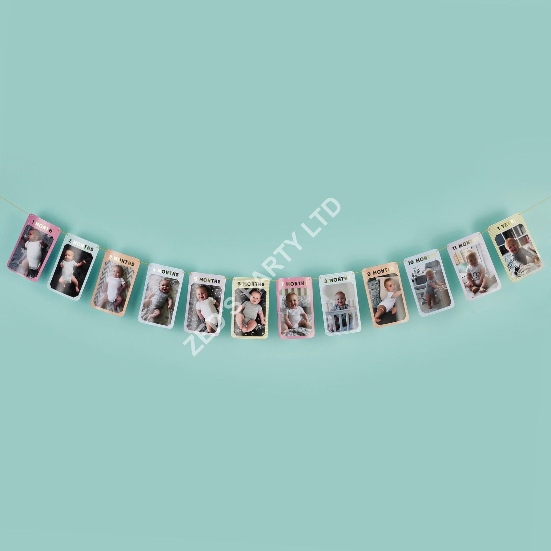 1st Birthday Milestone Photo Bunting