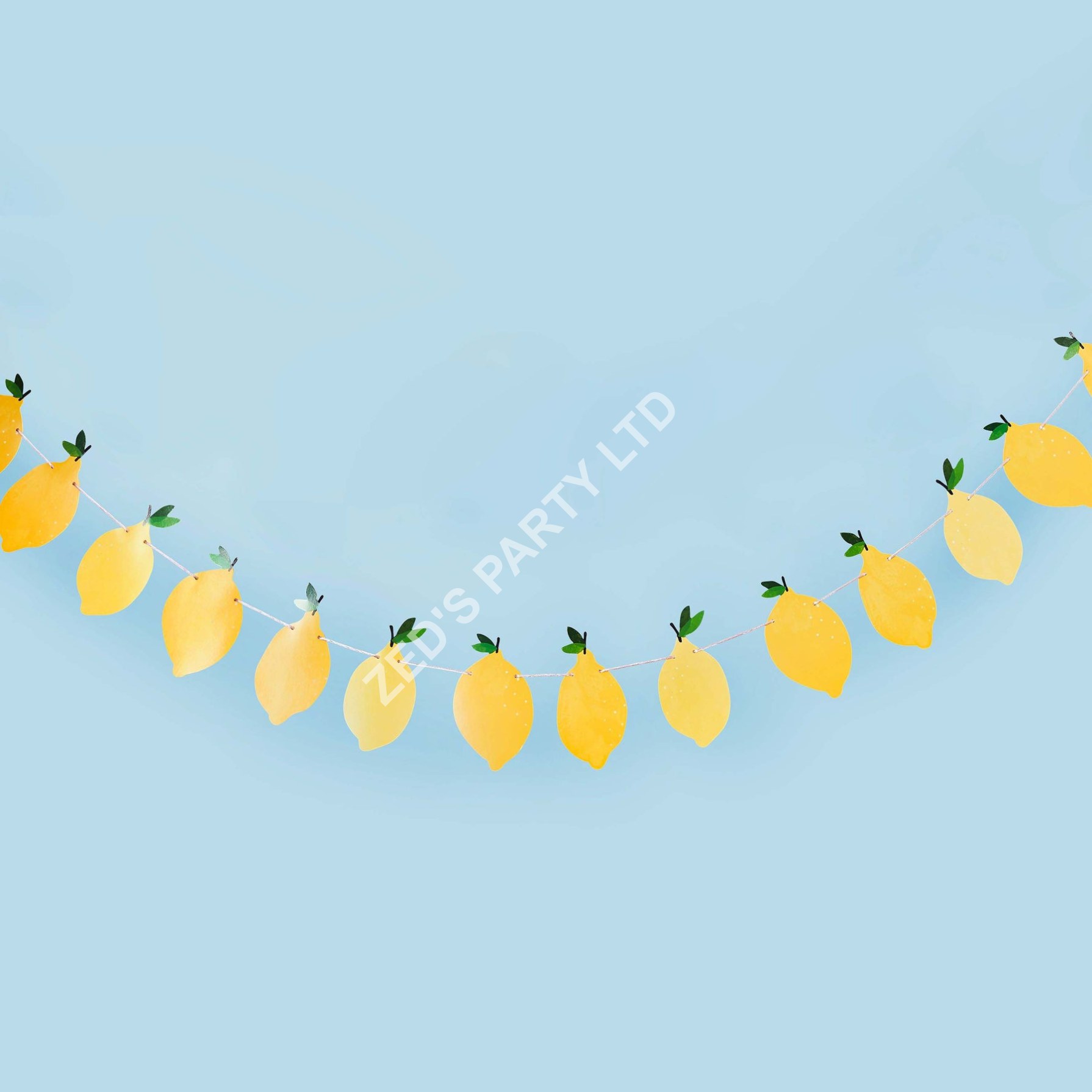 Lemon Party Garland - Image 3